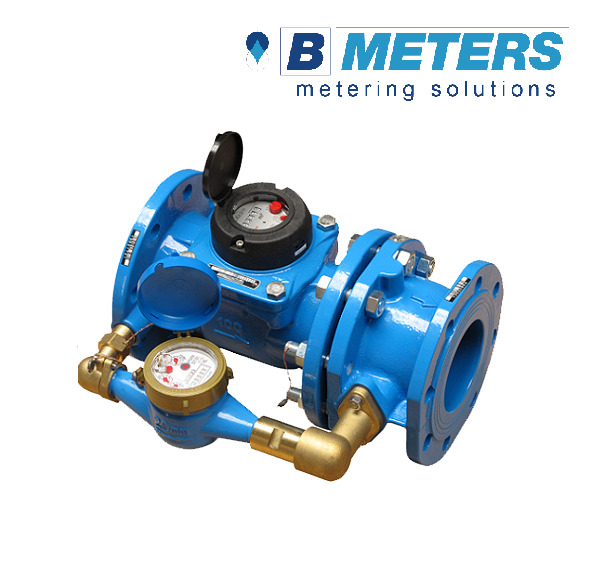 Đồng hồ nước B METERS - Mẹ bồng con WCM - Ảnh 2